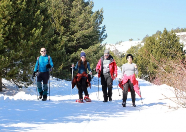 Ein Spaziergang mit Schneeschuhen